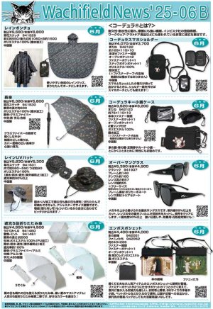 画像1: わちふぃーるどニュース２５０６Ｂ号