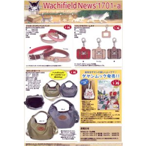 画像: わちふぃーるどニュース１７０１Ａ号