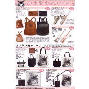 画像: わちふぃーるどニュース１７０２Ｂ号
