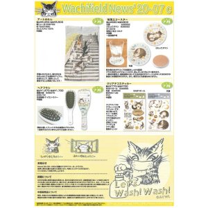 画像: わちふぃーるどニュース２００７Ｃ号