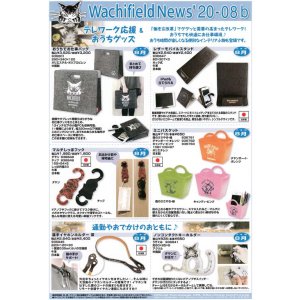 画像: わちふぃーるどニュース２００８Ｂ号