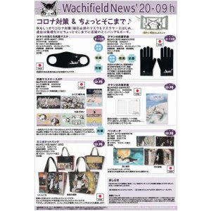 画像: わちふぃーるどニュース２００９Ｈ号