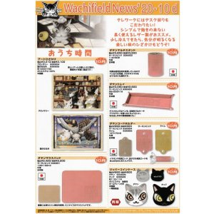 画像: わちふぃーるどニュース２０１０Ｄ号