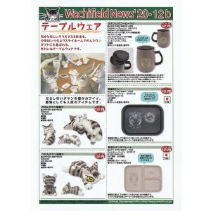 画像: わちふぃーるどニュース２０１２Ｂ号