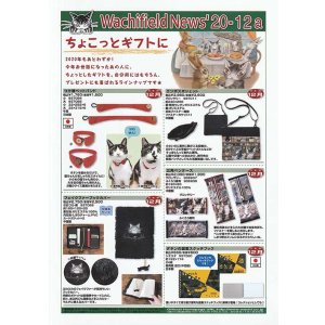 画像: わちふぃーるどニュース２０１２Ａ号