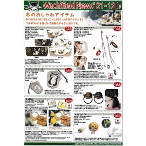 画像: わちふぃーるどニュース２１１２Ｂ号