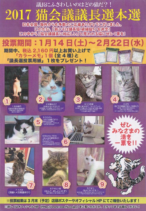 画像: 2017年度「猫会議議長選本選」を開催いたします。