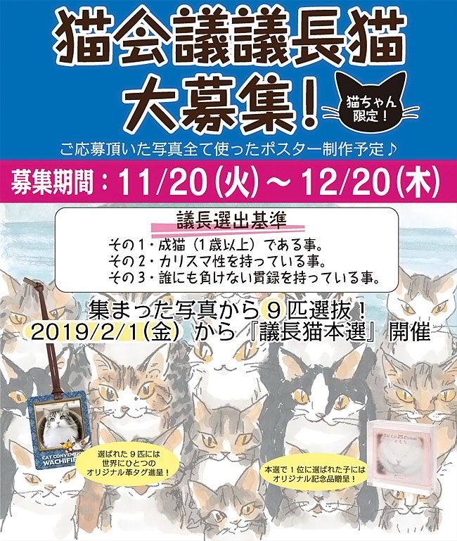 画像: 猫会議議長候補猫の募集が始まりました。