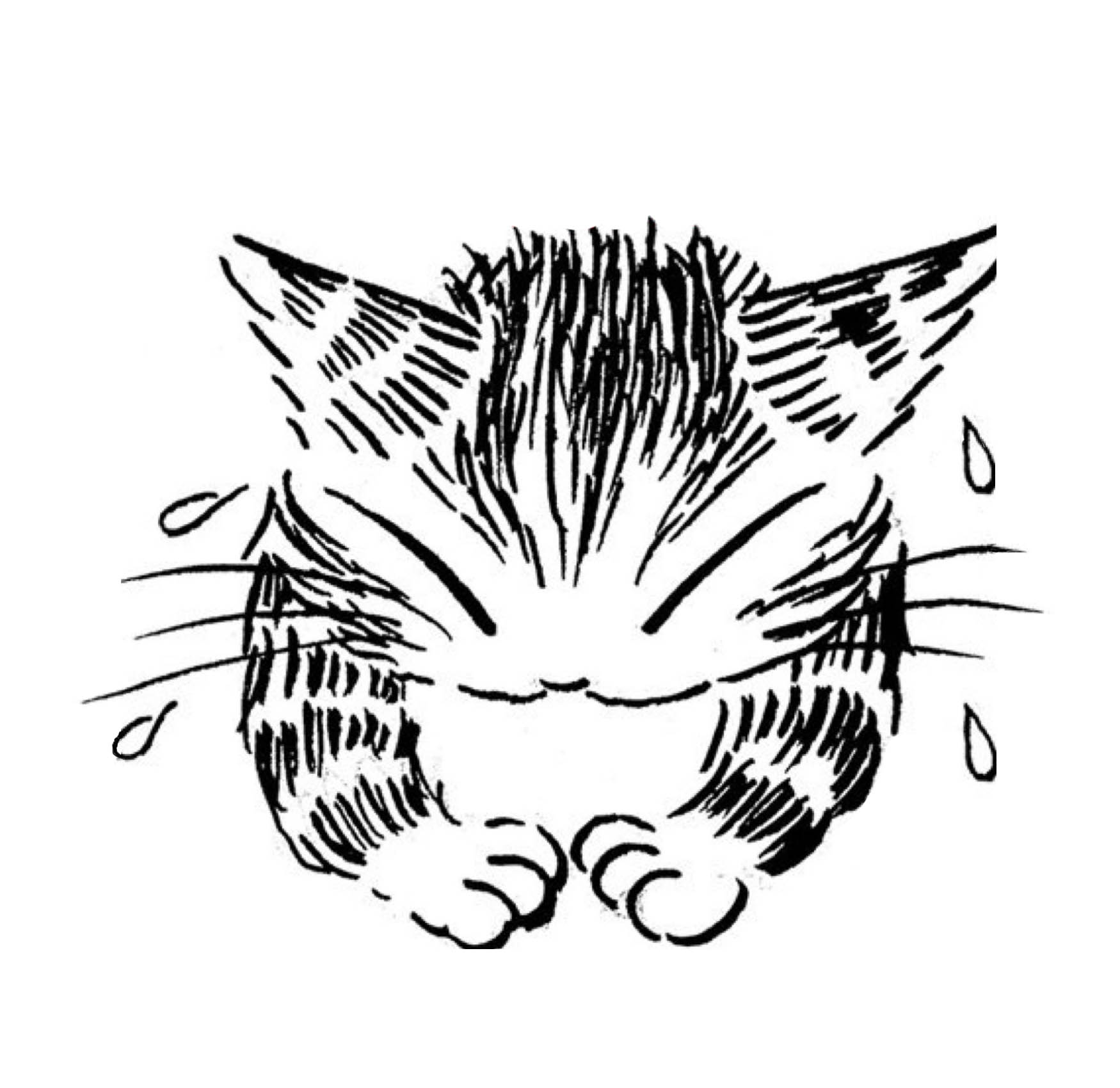画像: ５月１２日(月）〜１５日（木）４連休のお知らせ